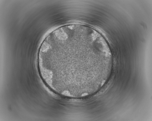 X0000111241379200908131134