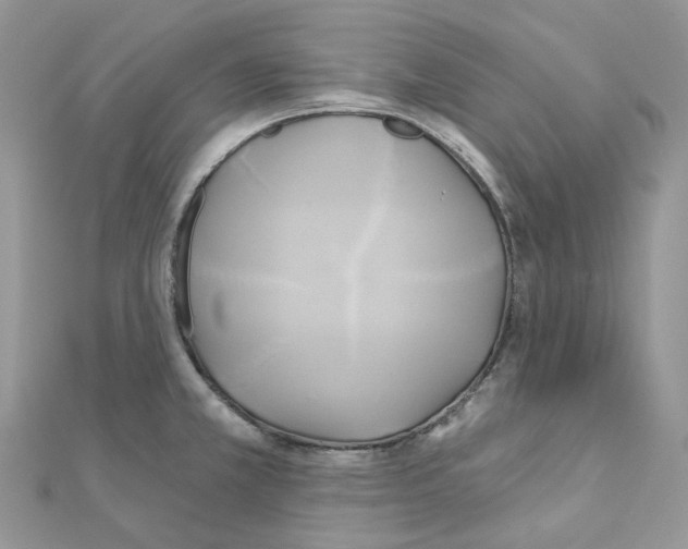 X0000111241381200908131134