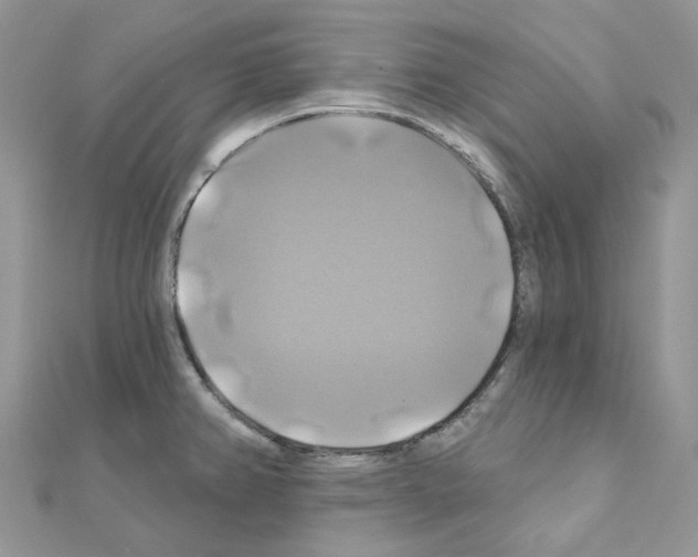 X0000111241382200908131134