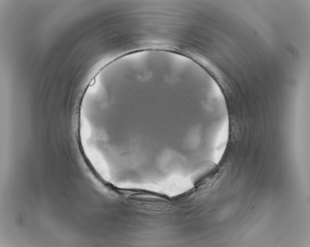 X0000111241383200908131134