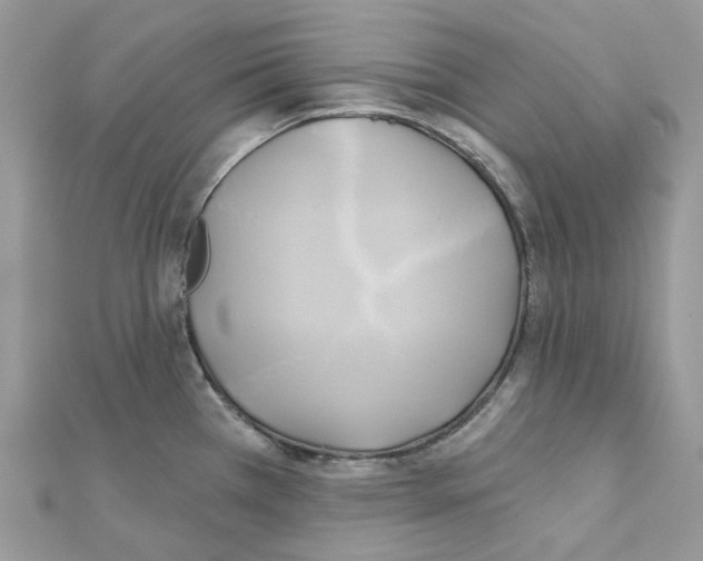 X0000111241385200908131134