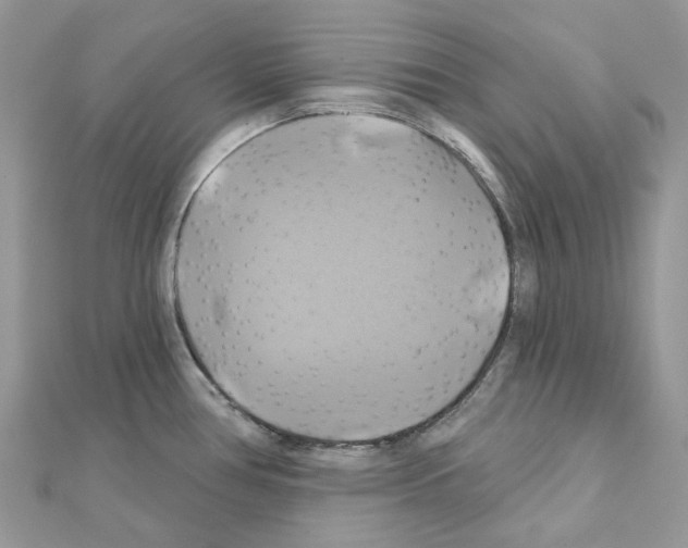 X0000111241386200908131134