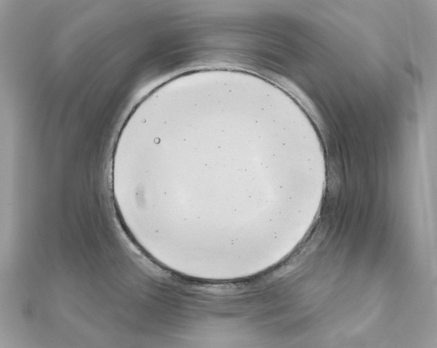 X0000111241388200908131134