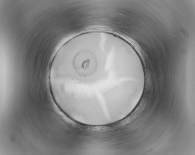 X0000111241390200908131134