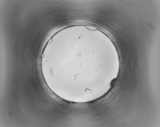 X0000111241392200908131134