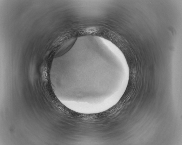 X0000111241394200908131134