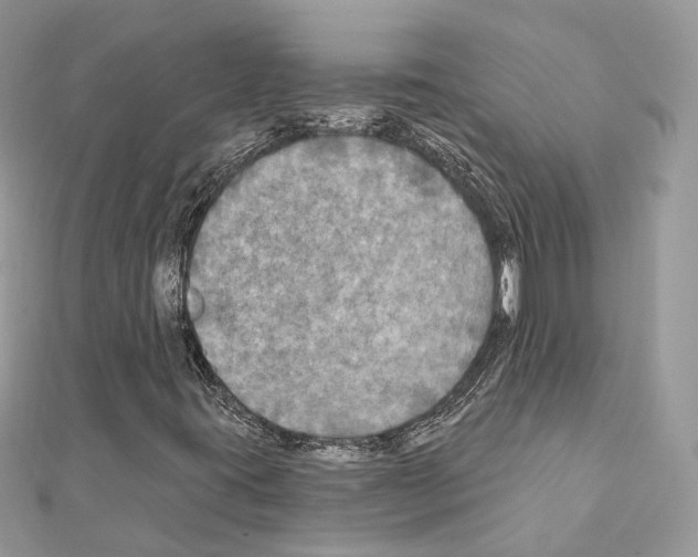 X0000111241395200908131134