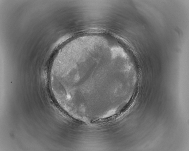 X0000111241402200908131134