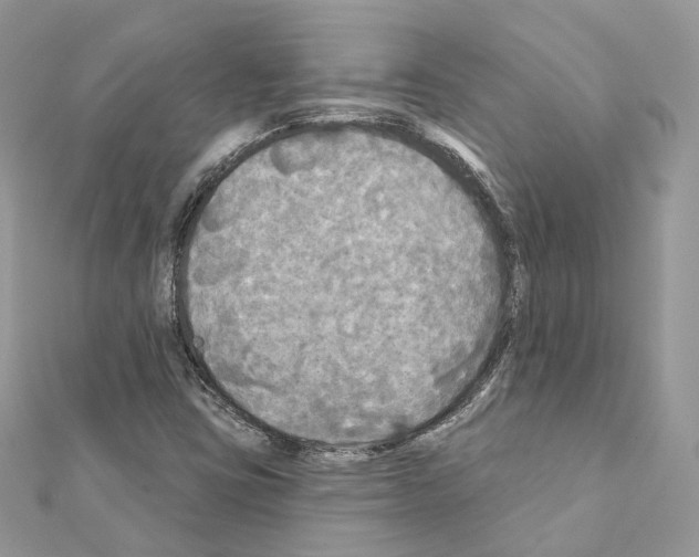 X0000111241403200908131134