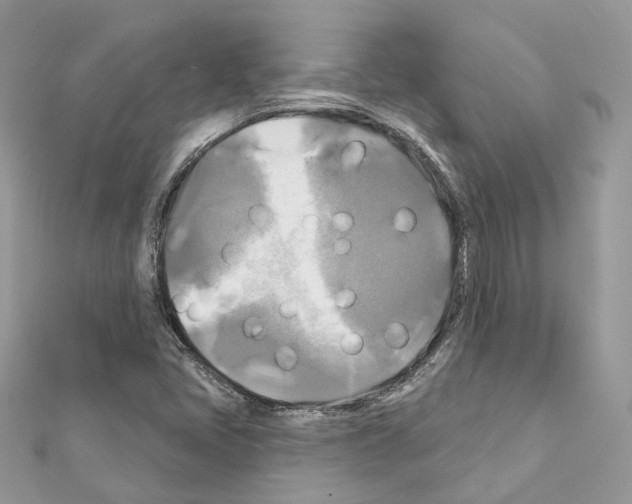 X0000111241405200908131134