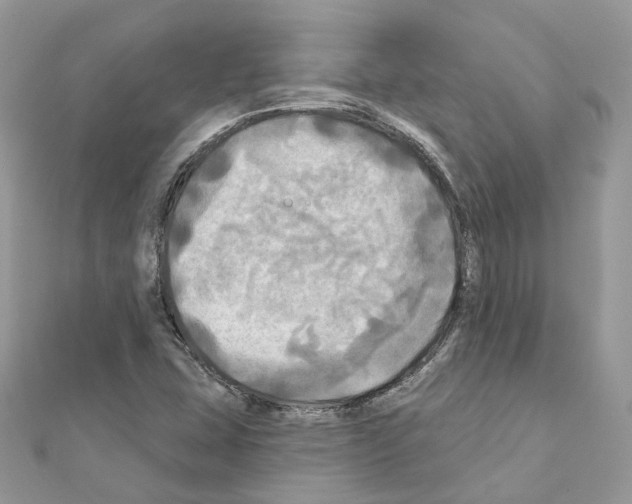 X0000111241407200908131134