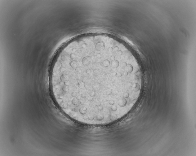 X0000111241408200908131134