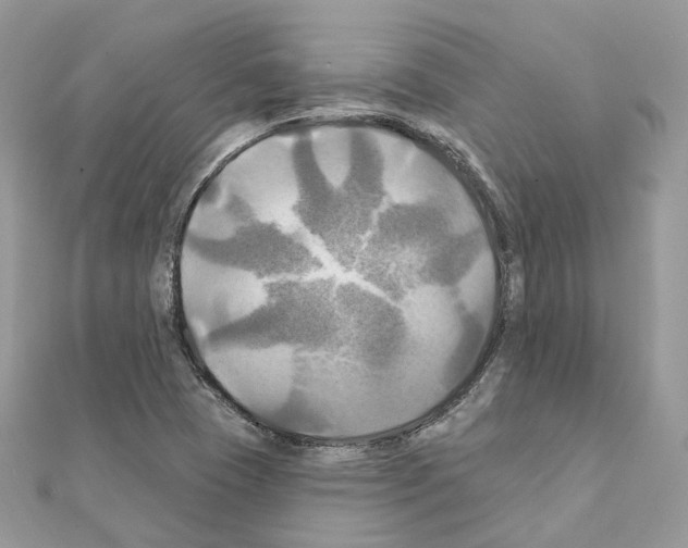 X0000111241409200908131134
