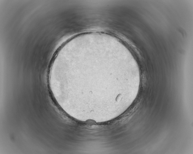 X0000111241412200908131134