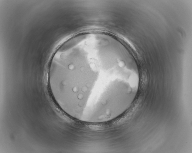 X0000111241413200908131134