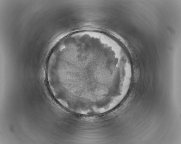 X0000111241415200908131134