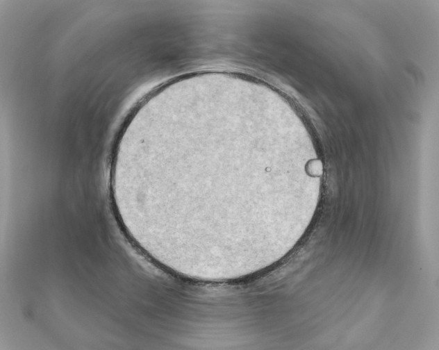 X0000111241416200908131134