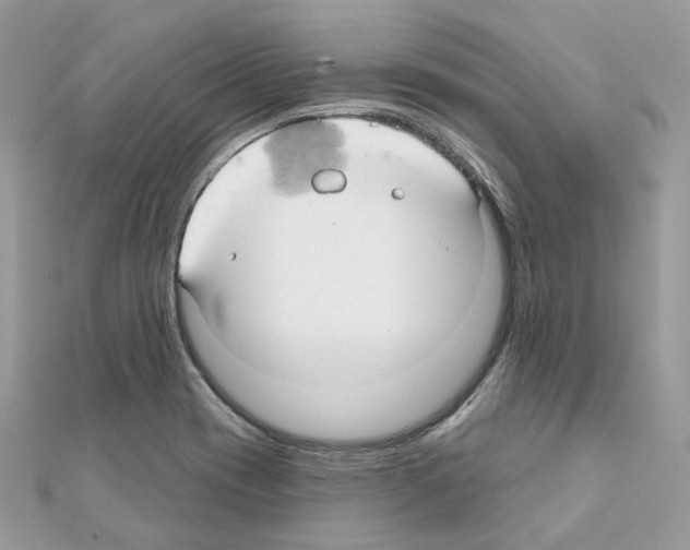 X0000111241417200908131134