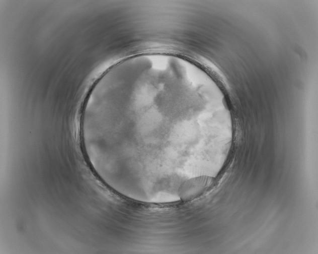 X0000111241419200908131134