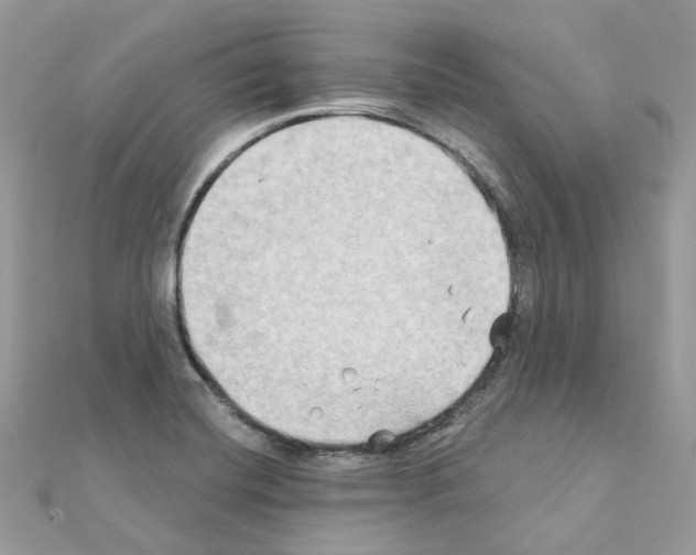 X0000111241420200908131134