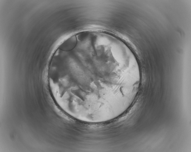 X0000111241421200908131134