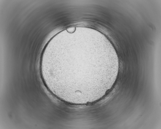 X0000111241426200908131134