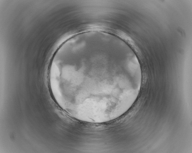 X0000111241427200908131134