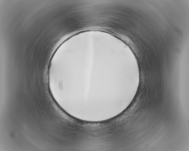 X0000111241428200908131134