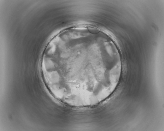 X0000111241429200908131134