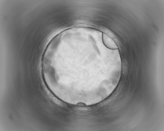 X0000111241431200908131134