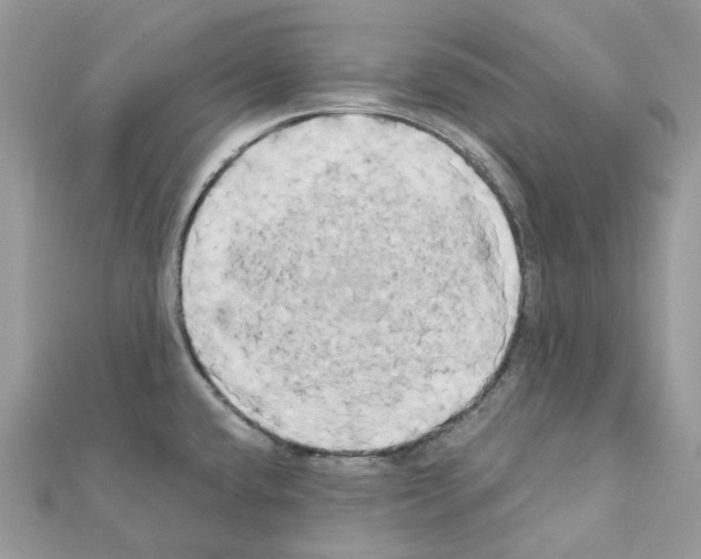 X0000111241432200908131134