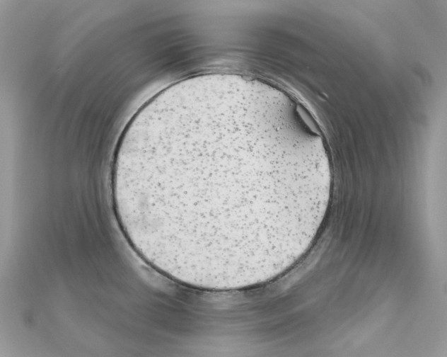 X0000111241434200908131134