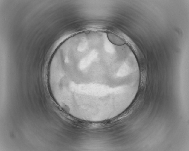 X0000111241435200908131134