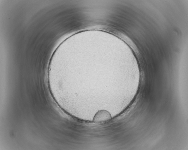 X0000111241436200908131134
