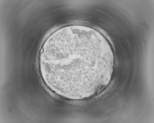 X0000111241437200908131134