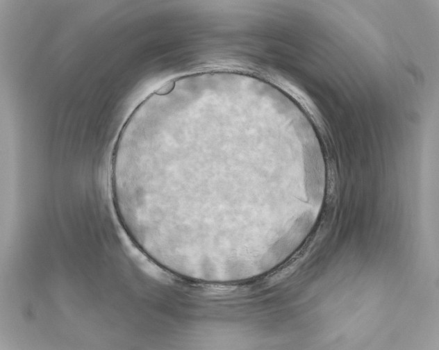 X0000111241439200908131134
