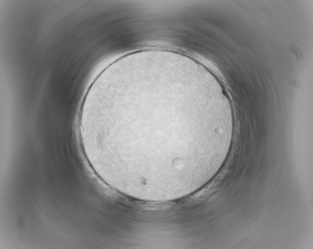X0000111241440200908131134