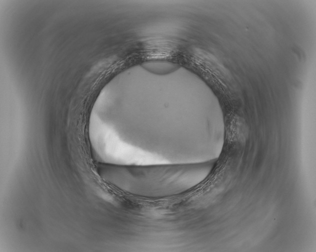 X0000111241441200908131134