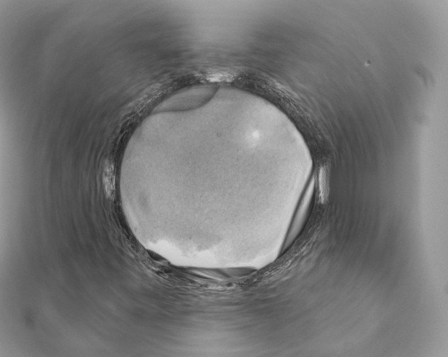 X0000111241443200908131134