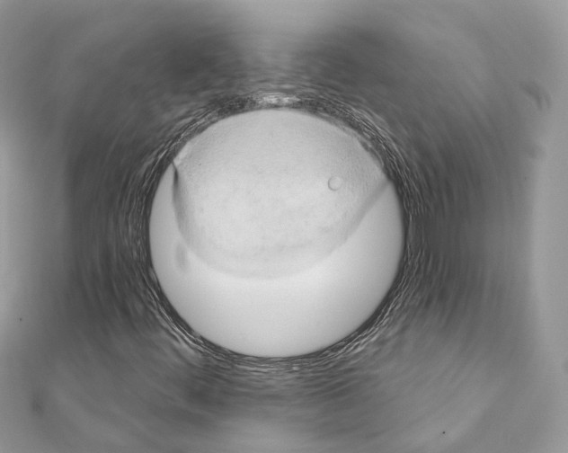 X0000111241444200908131134