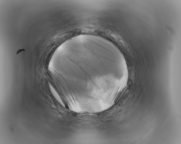 X0000111241445200908131134