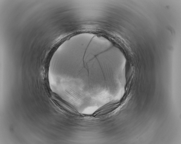 X0000111241449200908131133