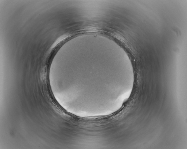 X0000111241450200908131133