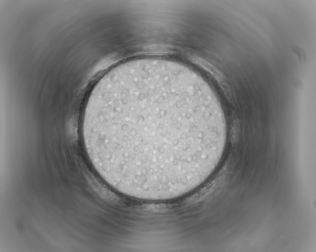 X0000111241451200908131133