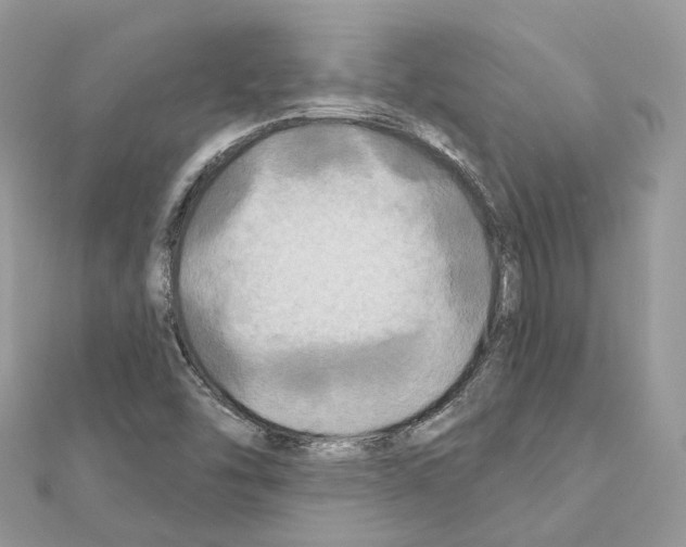 X0000111241454200908131133