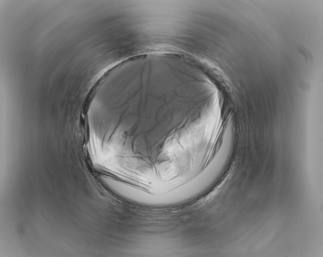 X0000111241457200908131133