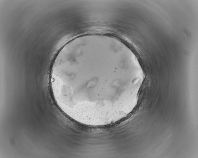 X0000111241459200908131133