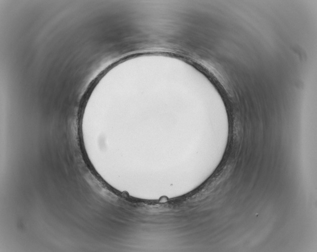 X0000111241460200908131133