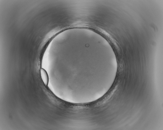 X0000111241461200908131133