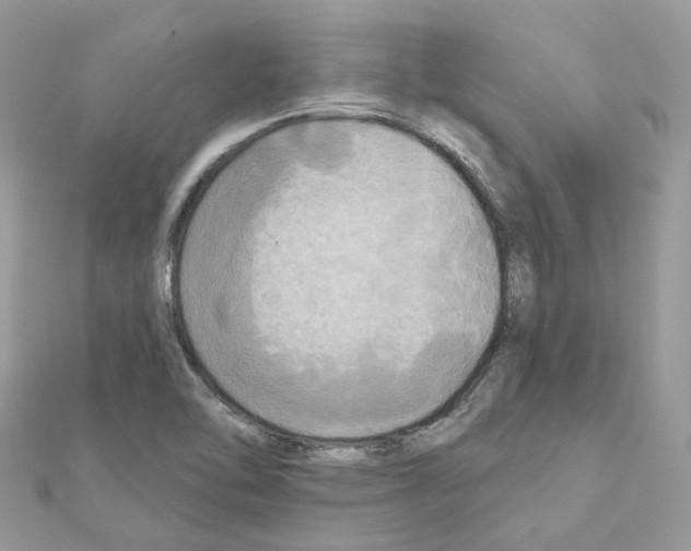 X0000111241462200908131133